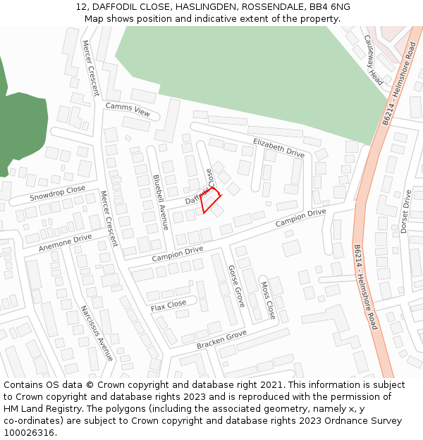 12, DAFFODIL CLOSE, HASLINGDEN, ROSSENDALE, BB4 6NG: Location map and indicative extent of plot