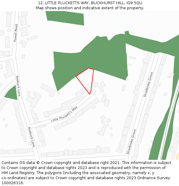 12, LITTLE PLUCKETTS WAY, BUCKHURST HILL, IG9 5QU: Location map and indicative extent of plot