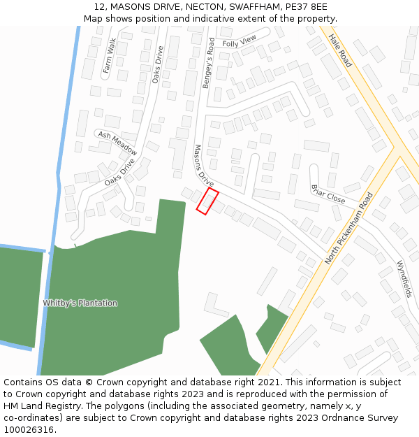 12, MASONS DRIVE, NECTON, SWAFFHAM, PE37 8EE: Location map and indicative extent of plot