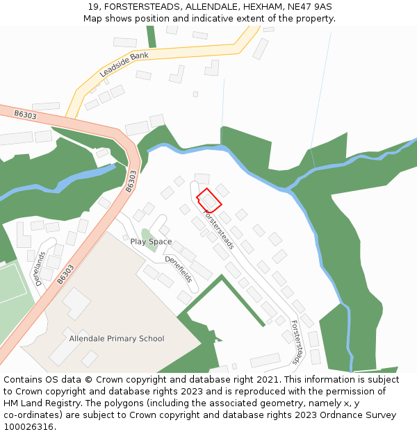 19, FORSTERSTEADS, ALLENDALE, HEXHAM, NE47 9AS: Location map and indicative extent of plot