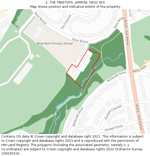 2, THE TREETOPS, JARROW, NE32 5ES: Location map and indicative extent of plot