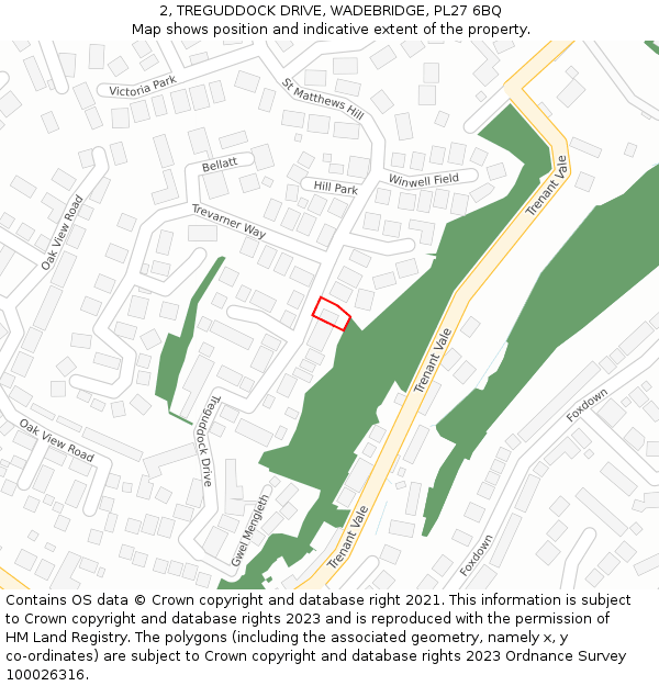 2, TREGUDDOCK DRIVE, WADEBRIDGE, PL27 6BQ: Location map and indicative extent of plot