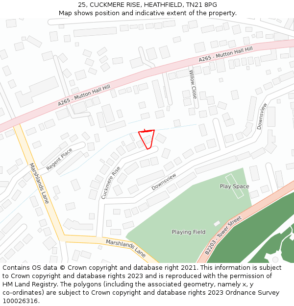 25, CUCKMERE RISE, HEATHFIELD, TN21 8PG: Location map and indicative extent of plot