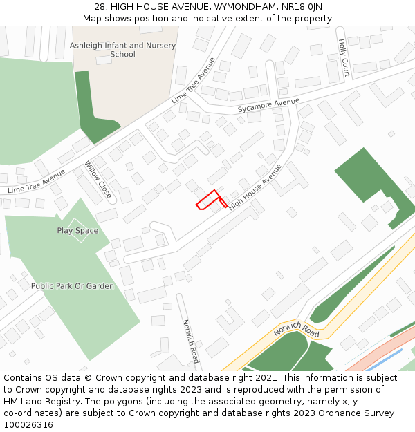 28, HIGH HOUSE AVENUE, WYMONDHAM, NR18 0JN: Location map and indicative extent of plot