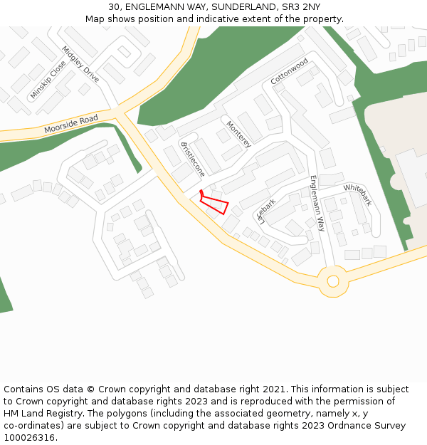 30, ENGLEMANN WAY, SUNDERLAND, SR3 2NY: Location map and indicative extent of plot