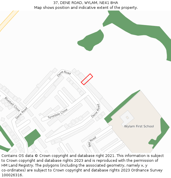 37, DENE ROAD, WYLAM, NE41 8HA: Location map and indicative extent of plot
