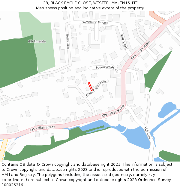 38, BLACK EAGLE CLOSE, WESTERHAM, TN16 1TF: Location map and indicative extent of plot