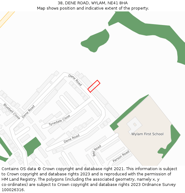 38, DENE ROAD, WYLAM, NE41 8HA: Location map and indicative extent of plot