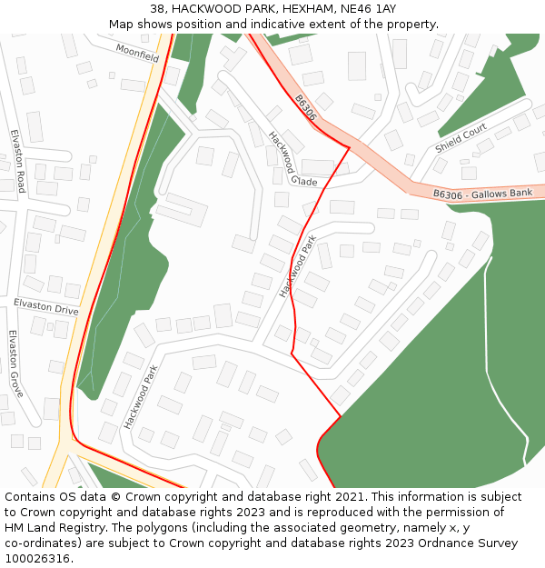 38, HACKWOOD PARK, HEXHAM, NE46 1AY: Location map and indicative extent of plot
