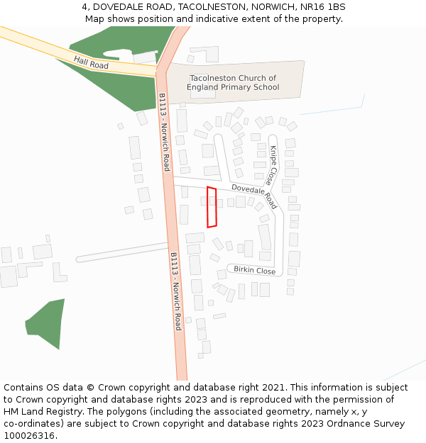 4, DOVEDALE ROAD, TACOLNESTON, NORWICH, NR16 1BS: Location map and indicative extent of plot