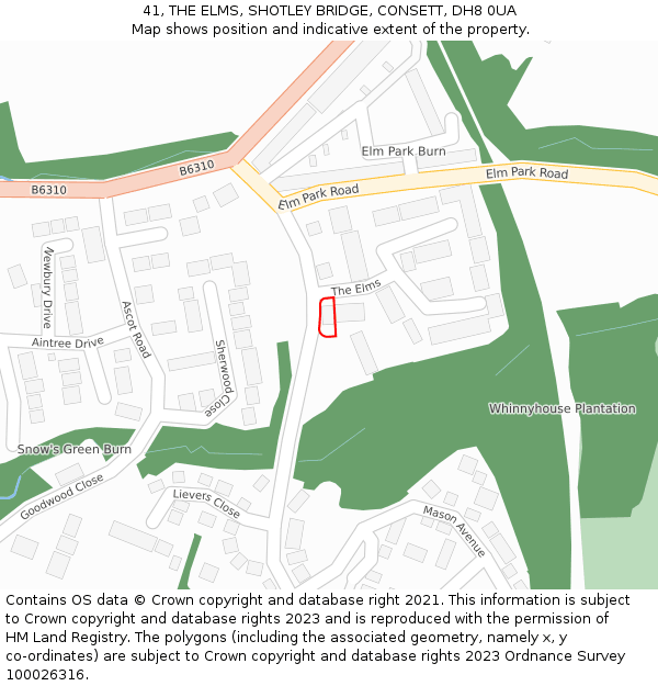 41, THE ELMS, SHOTLEY BRIDGE, CONSETT, DH8 0UA: Location map and indicative extent of plot