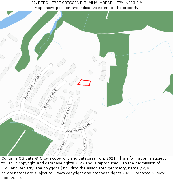 42, BEECH TREE CRESCENT, BLAINA, ABERTILLERY, NP13 3JA: Location map and indicative extent of plot