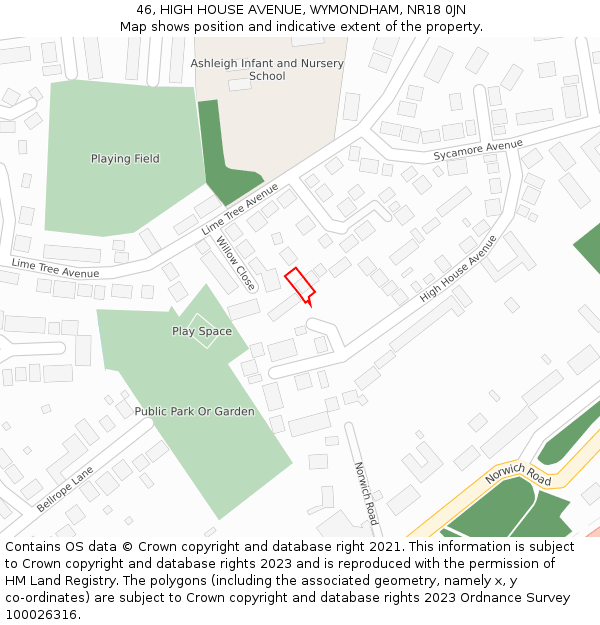 46, HIGH HOUSE AVENUE, WYMONDHAM, NR18 0JN: Location map and indicative extent of plot