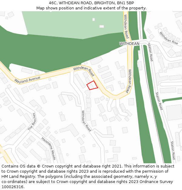 46C, WITHDEAN ROAD, BRIGHTON, BN1 5BP: Location map and indicative extent of plot