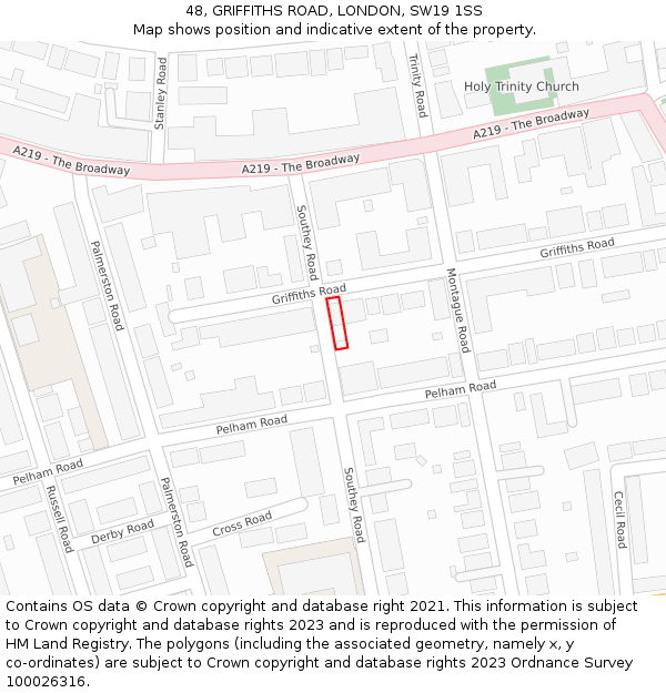 48, GRIFFITHS ROAD, LONDON, SW19 1SS: Location map and indicative extent of plot