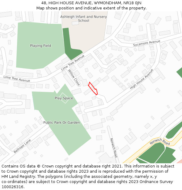 48, HIGH HOUSE AVENUE, WYMONDHAM, NR18 0JN: Location map and indicative extent of plot