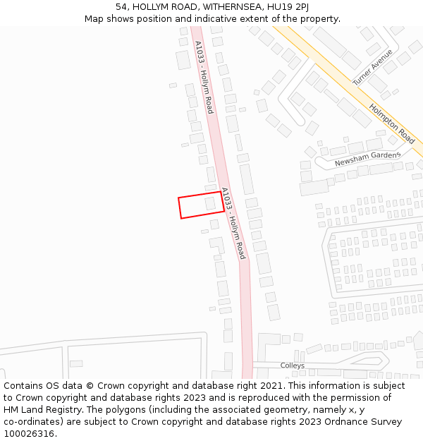 54, HOLLYM ROAD, WITHERNSEA, HU19 2PJ: Location map and indicative extent of plot