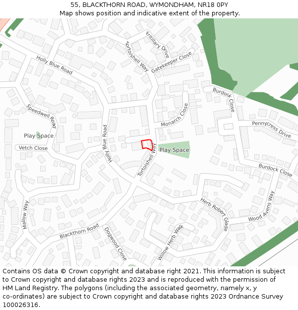 55, BLACKTHORN ROAD, WYMONDHAM, NR18 0PY: Location map and indicative extent of plot