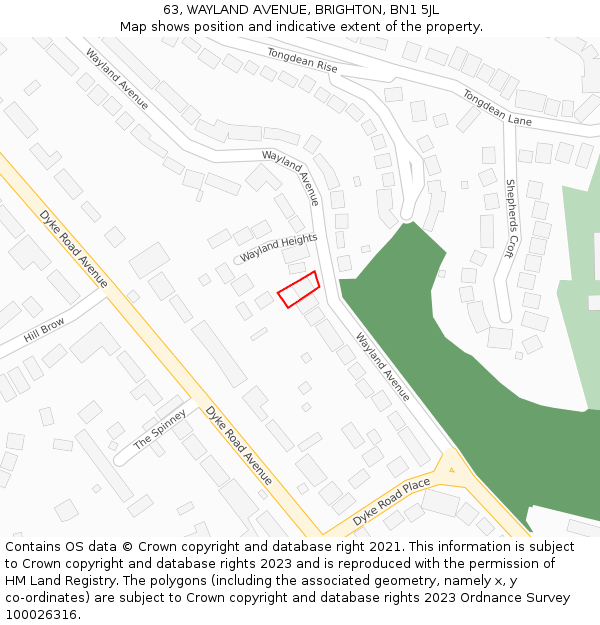 63, WAYLAND AVENUE, BRIGHTON, BN1 5JL: Location map and indicative extent of plot