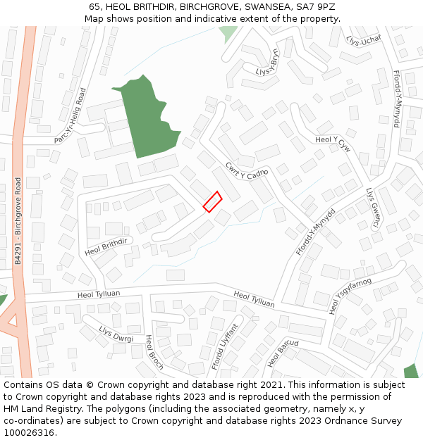 65, HEOL BRITHDIR, BIRCHGROVE, SWANSEA, SA7 9PZ: Location map and indicative extent of plot