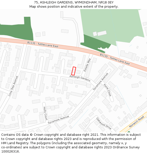 75, ASHLEIGH GARDENS, WYMONDHAM, NR18 0EY: Location map and indicative extent of plot