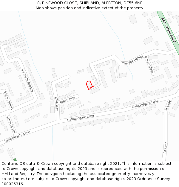 8, PINEWOOD CLOSE, SHIRLAND, ALFRETON, DE55 6NE: Location map and indicative extent of plot