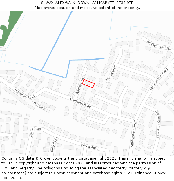 8, WAYLAND WALK, DOWNHAM MARKET, PE38 9TE: Location map and indicative extent of plot