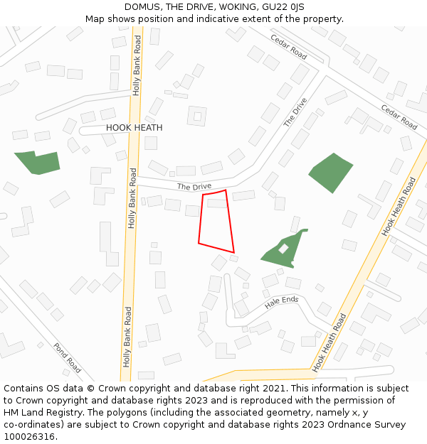 DOMUS, THE DRIVE, WOKING, GU22 0JS: Location map and indicative extent of plot