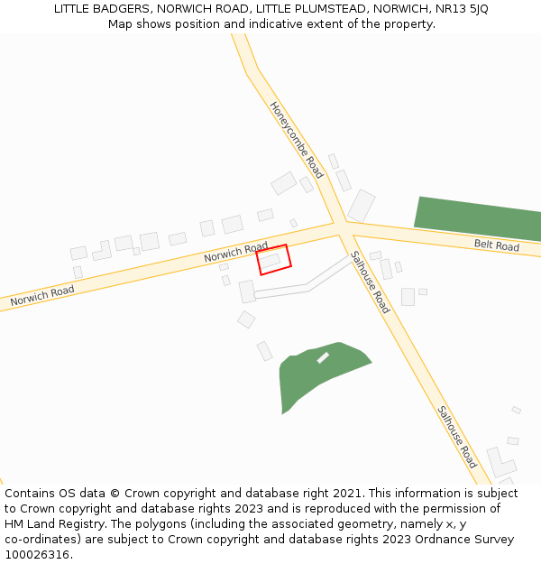 LITTLE BADGERS, NORWICH ROAD, LITTLE PLUMSTEAD, NORWICH, NR13 5JQ: Location map and indicative extent of plot