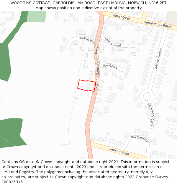 WOODBINE COTTAGE, GARBOLDISHAM ROAD, EAST HARLING, NORWICH, NR16 2PT: Location map and indicative extent of plot