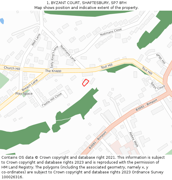 1, BYZANT COURT, SHAFTESBURY, SP7 8FH: Location map and indicative extent of plot