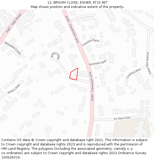 12, BROOM CLOSE, ESHER, KT10 9ET: Location map and indicative extent of plot