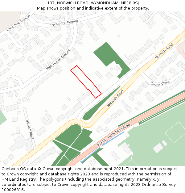 137, NORWICH ROAD, WYMONDHAM, NR18 0SJ: Location map and indicative extent of plot