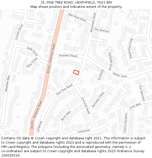 15, PINE TREE ROAD, HEATHFIELD, TN21 8AY: Location map and indicative extent of plot