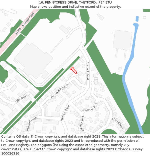 16, PENNYCRESS DRIVE, THETFORD, IP24 2TU: Location map and indicative extent of plot