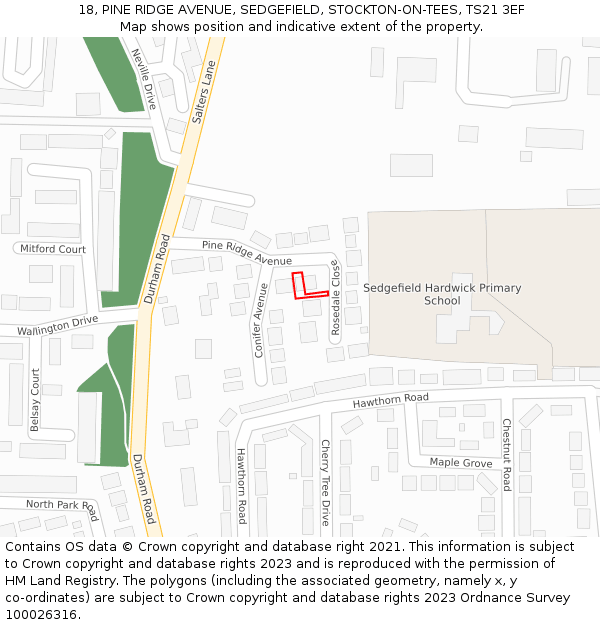 18, PINE RIDGE AVENUE, SEDGEFIELD, STOCKTON-ON-TEES, TS21 3EF: Location map and indicative extent of plot