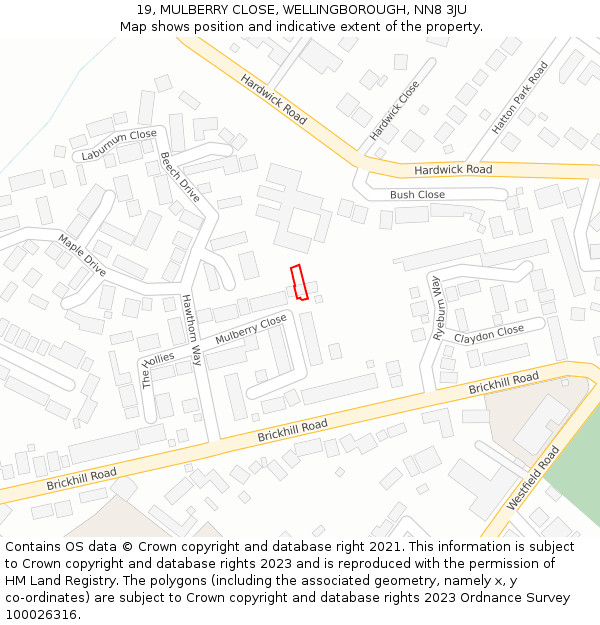 19, MULBERRY CLOSE, WELLINGBOROUGH, NN8 3JU: Location map and indicative extent of plot