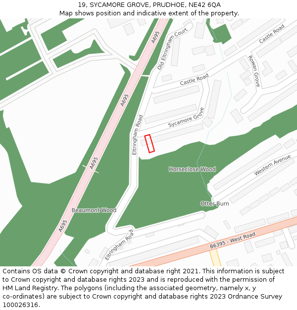 19, SYCAMORE GROVE, PRUDHOE, NE42 6QA: Location map and indicative extent of plot