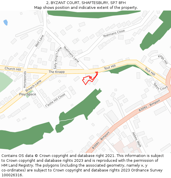 2, BYZANT COURT, SHAFTESBURY, SP7 8FH: Location map and indicative extent of plot