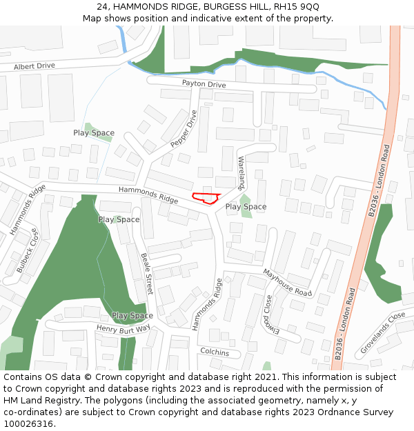 24, HAMMONDS RIDGE, BURGESS HILL, RH15 9QQ: Location map and indicative extent of plot