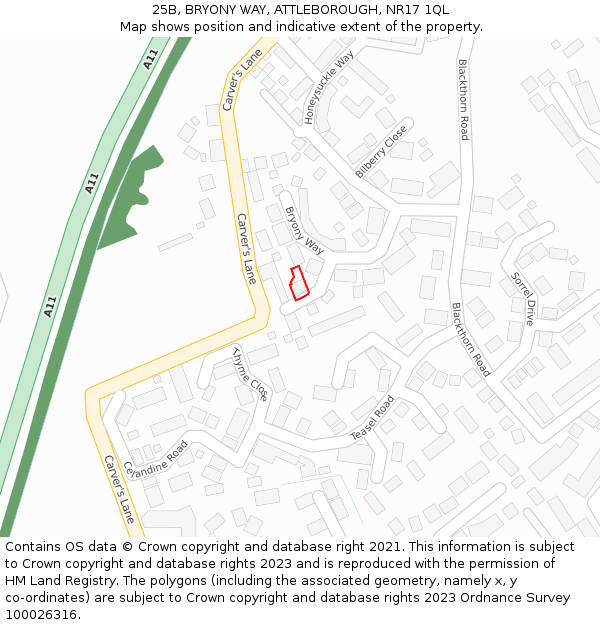 25B, BRYONY WAY, ATTLEBOROUGH, NR17 1QL: Location map and indicative extent of plot