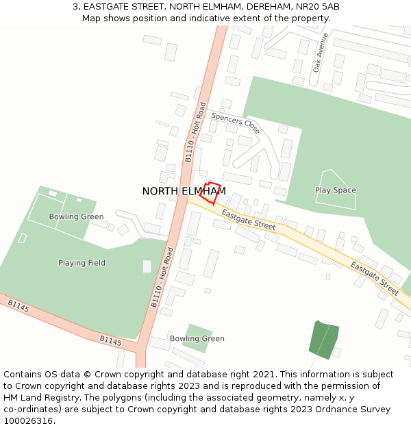 3, EASTGATE STREET, NORTH ELMHAM, DEREHAM, NR20 5AB: Location map and indicative extent of plot