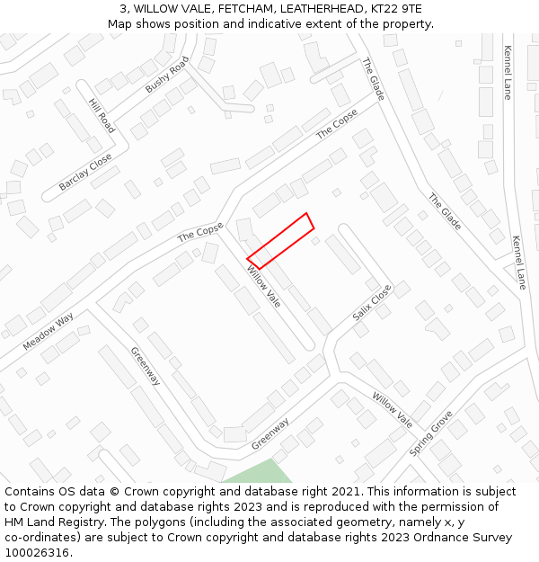 3, WILLOW VALE, FETCHAM, LEATHERHEAD, KT22 9TE: Location map and indicative extent of plot