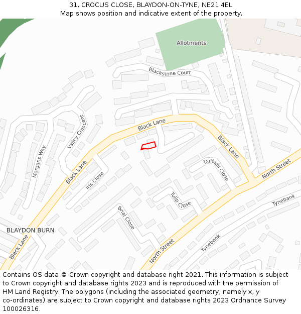 31, CROCUS CLOSE, BLAYDON-ON-TYNE, NE21 4EL: Location map and indicative extent of plot