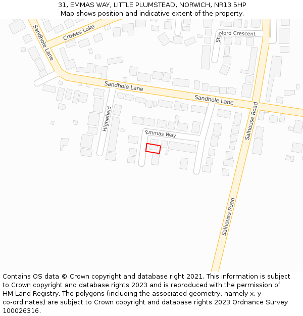 31, EMMAS WAY, LITTLE PLUMSTEAD, NORWICH, NR13 5HP: Location map and indicative extent of plot