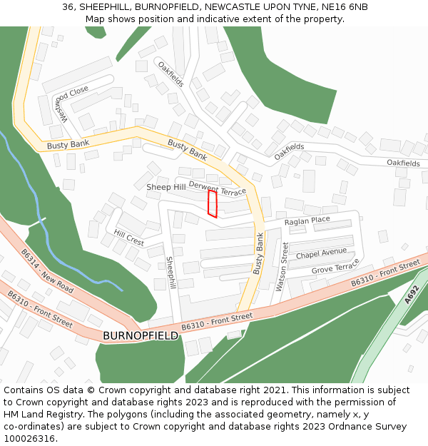 36, SHEEPHILL, BURNOPFIELD, NEWCASTLE UPON TYNE, NE16 6NB: Location map and indicative extent of plot