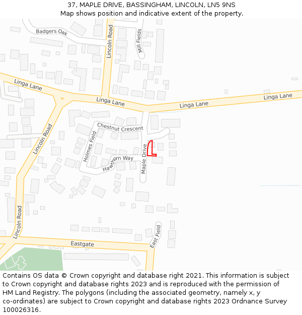 37, MAPLE DRIVE, BASSINGHAM, LINCOLN, LN5 9NS: Location map and indicative extent of plot