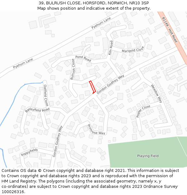 39, BULRUSH CLOSE, HORSFORD, NORWICH, NR10 3SP: Location map and indicative extent of plot