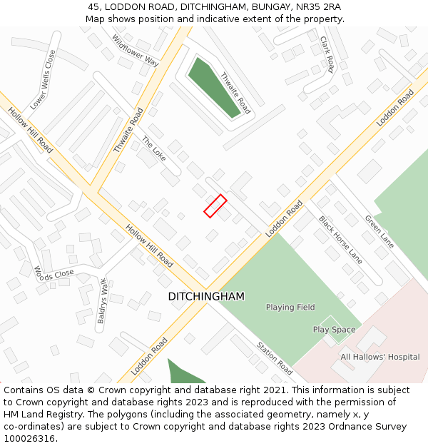 45, LODDON ROAD, DITCHINGHAM, BUNGAY, NR35 2RA: Location map and indicative extent of plot