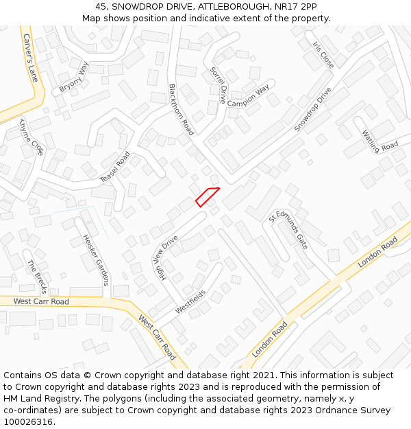 45, SNOWDROP DRIVE, ATTLEBOROUGH, NR17 2PP: Location map and indicative extent of plot